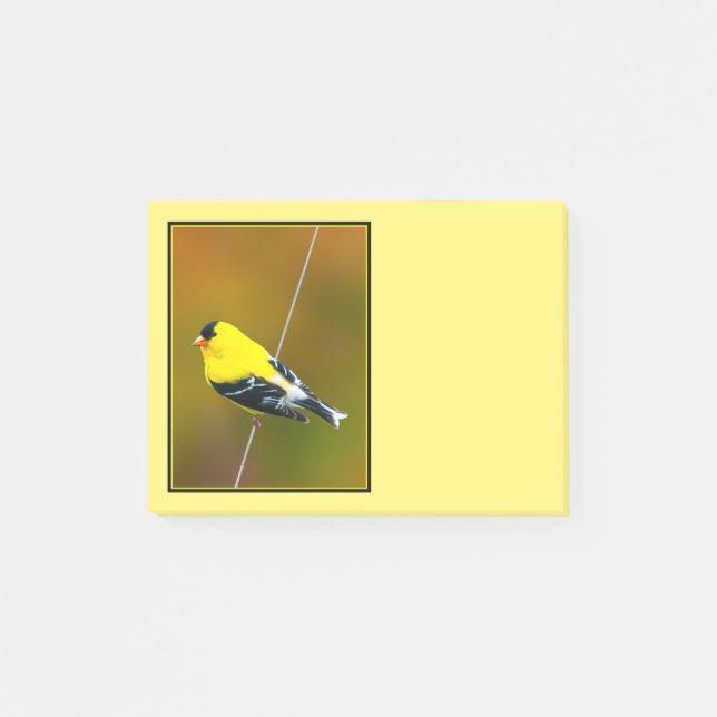 Amerikansk Guldfink - Originalfotografi Post-it Block (Framsida)