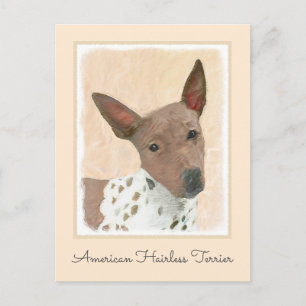 Amerikansk Hairless Terrier-målning - Hundkonst Vykort