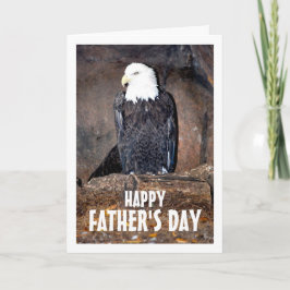 Amerikansk havsörn i bo kort