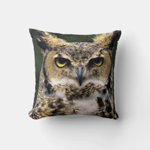 Amerikansk hornuggla (Bubo virginianus), hel kropp Kudde
