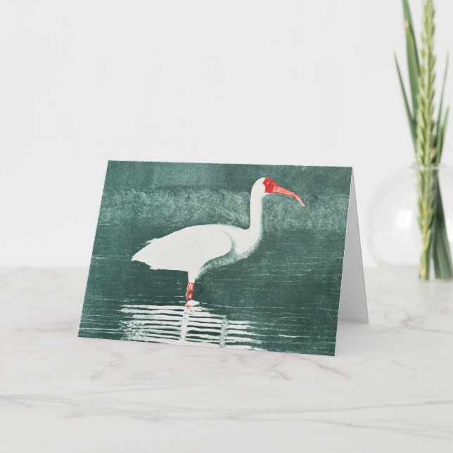 Amerikansk Ibis Falt Notkort Anteckningskort (Framsida)