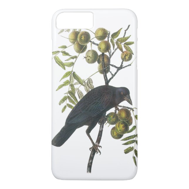 Amerikansk Kråka av Audubon Case-Mate iPhone Skal (Baksida)