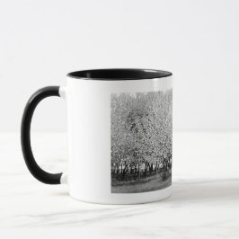 Amerikansk man i fruktträdgård Äkta foto kaffemug Mugg