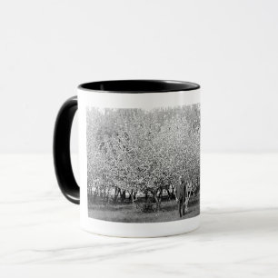 Amerikansk man i fruktträdgård Äkta foto kaffemug Mugg