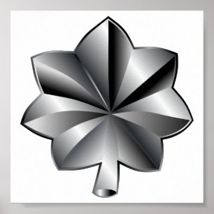 Amerikansk militärrank - överstelöjtnant poster