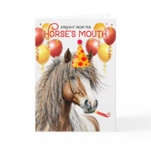 Amerikansk Miniature Horse Chestnut Funny Birthday