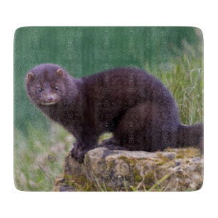 Amerikansk Mink Rektangulär Skärbräda