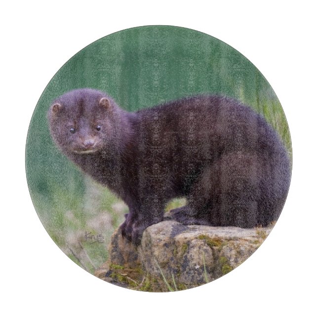 Amerikansk mink rund skärbräda (Framsidan)