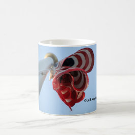 Amerikansk mugg