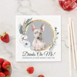 Amerikansk naken terrier servetter med foto