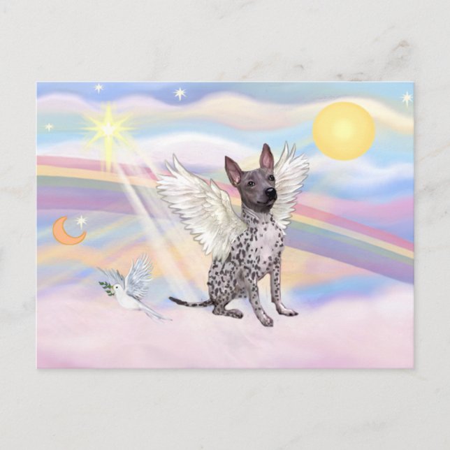 Amerikansk naken terrier vykort (Framsida)