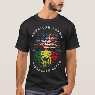 Amerikansk odlad senegalesisk rötter Senegals flag T Shirt