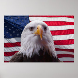 Amerikansk örn och flagga poster
