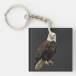 Amerikansk örn outfit