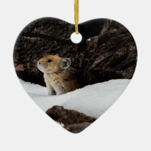 Amerikansk pika i Snö med Heart-Shaped Cerami Julgransprydnad Keramik