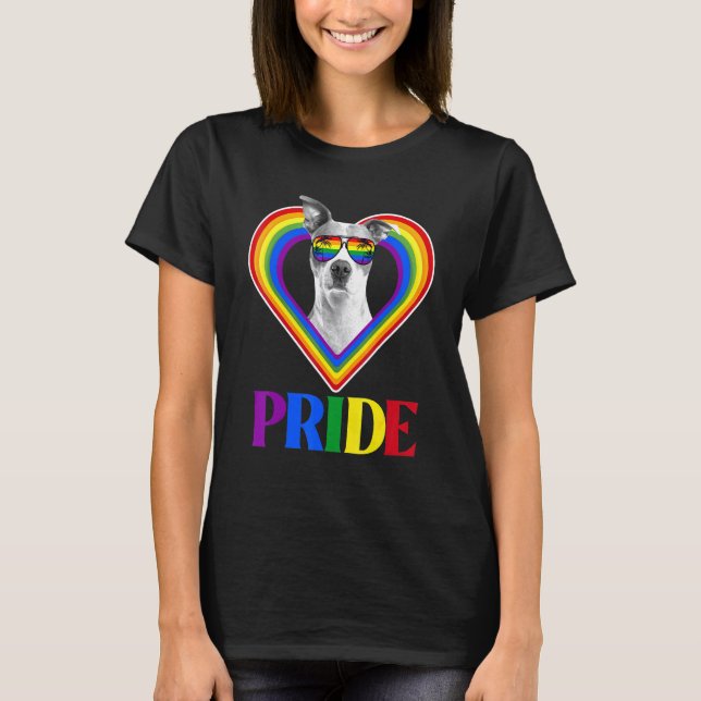 Amerikansk Pitbull Regnbågsstolthet T Shirt (Framsida)