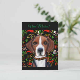 Amerikansk rävhund vykort