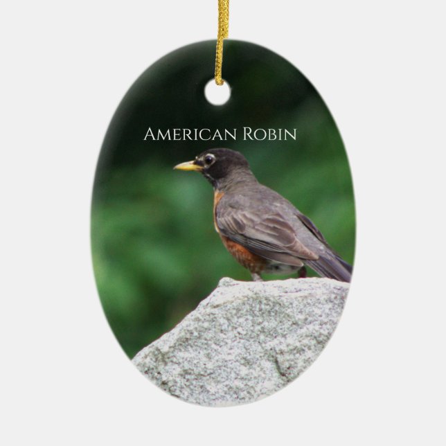 Amerikansk Robin Fågel Foto Ornament  (Framsidan)