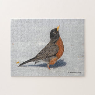 Amerikansk Robin i Snö Pussel