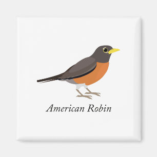 Amerikansk Robin Magnet