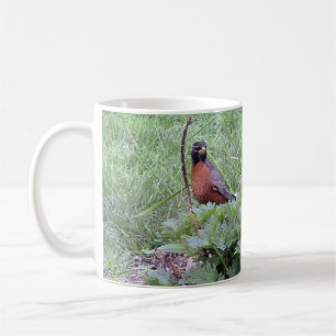 Amerikansk Robin (Male) Mugg