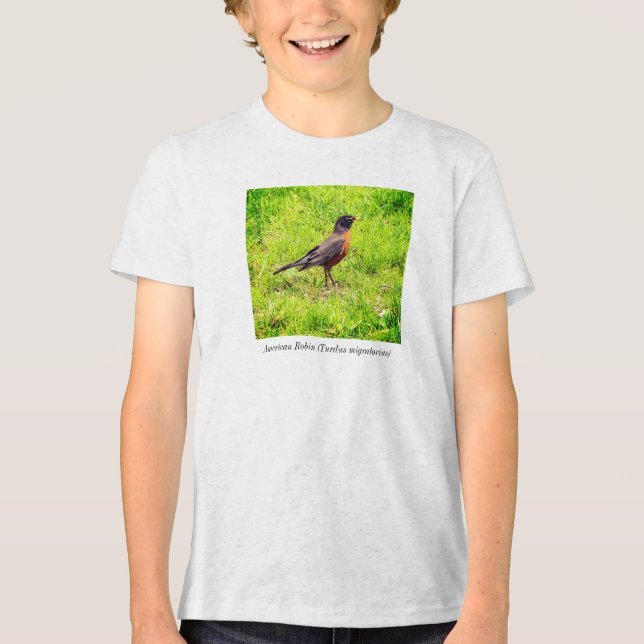 Amerikansk Robin (Turdus migratorius) T Shirt (Framsida)