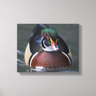 Amerikansk skogssada invirad canvas