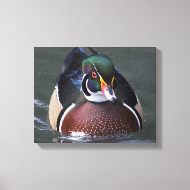 Amerikansk skogssada invirad canvas (Framsida)