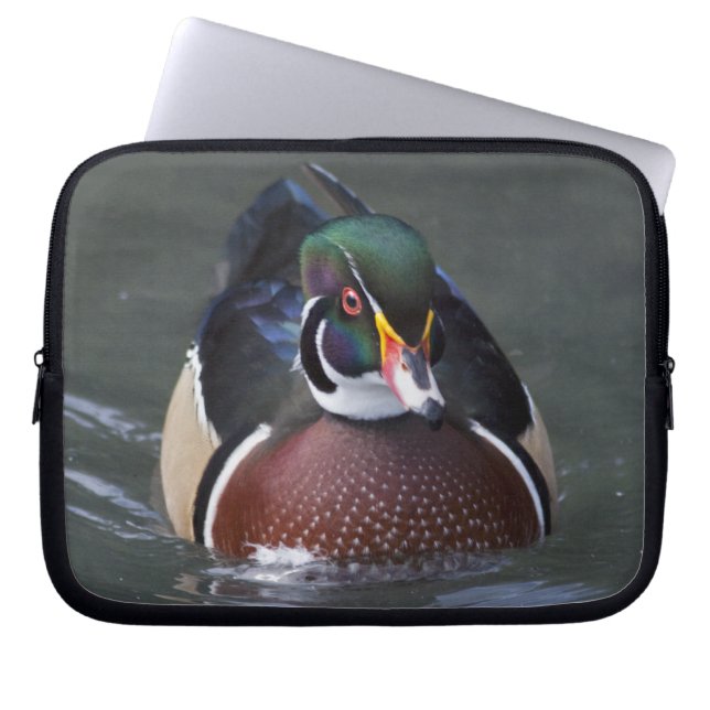 Amerikansk skogssnoknäppa datorskydd laptop sleeve (Framsidan)