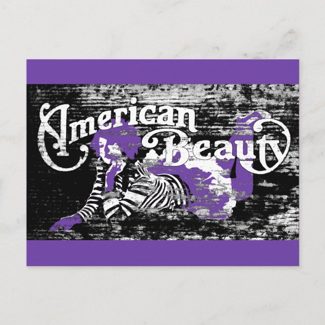amerikansk skönhet vykort (Framsida)