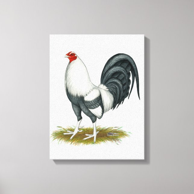 Amerikansk spel silverblå gamecock canvastryck (Framsida)