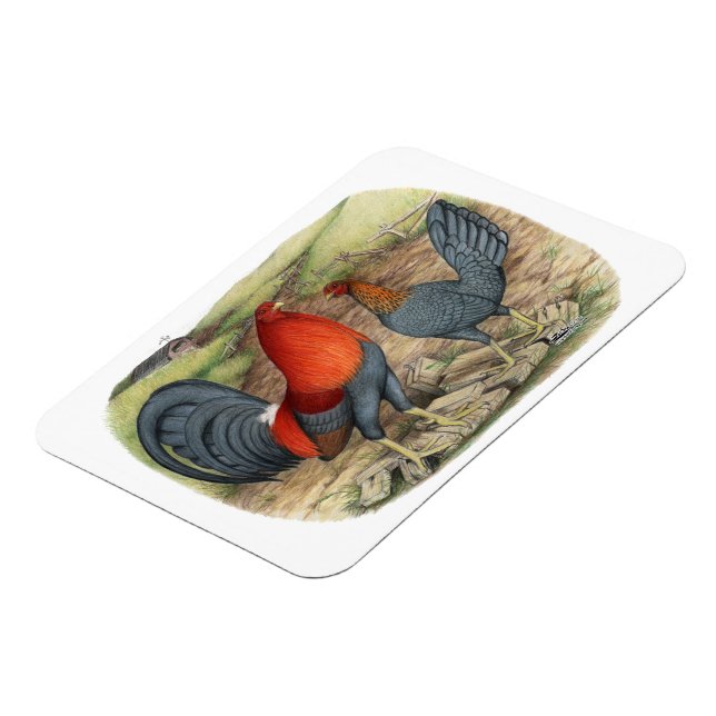  amerikansk spelblå magnet (Vänstra Sidan)