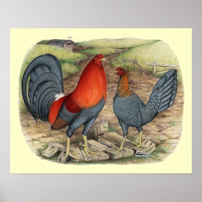  amerikansk spelblå poster (Framsidan)