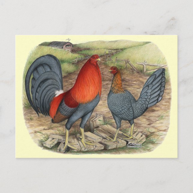  amerikansk spelblå vykort (Framsida)