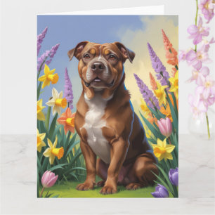 Amerikansk Staffordshire Hund Vårblommor Målning Kort