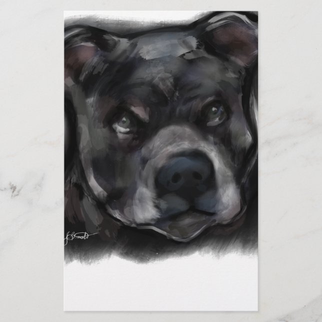 Amerikansk Staffordshire Terrier (Framsida)