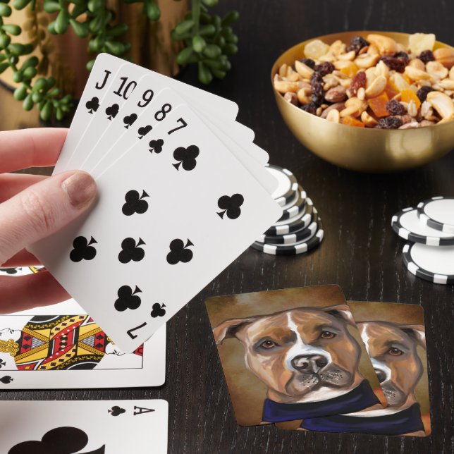 AMERIKANSK STAFFORDSHIRE TERRIER CASINOKORT (På plats)