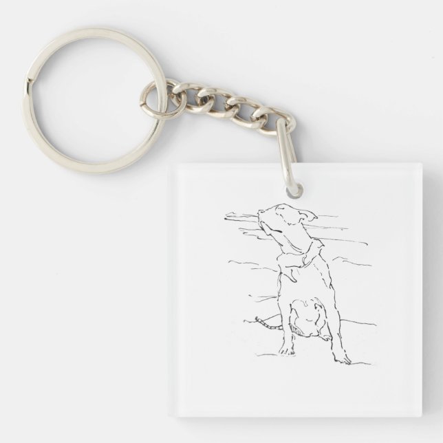 Amerikansk Staffordshire Terrier-illustration (Framsidan)