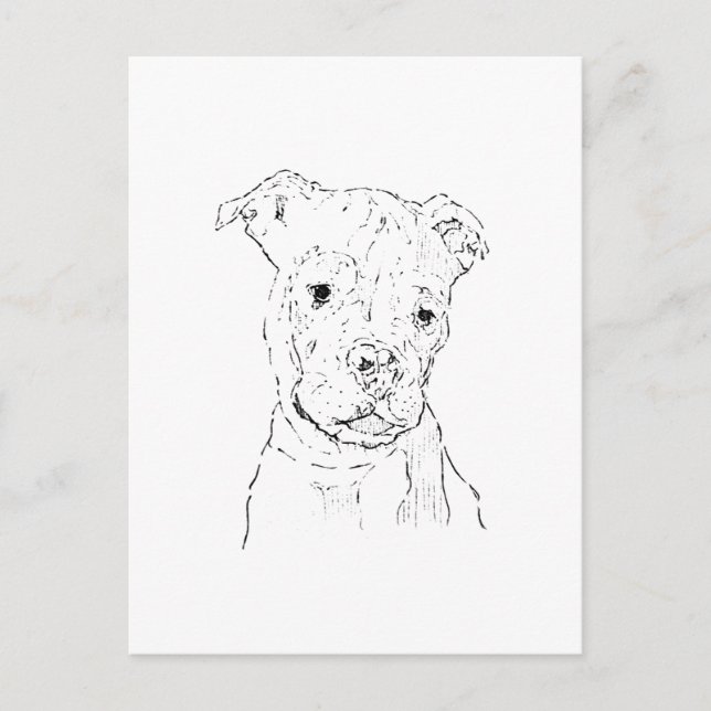 Amerikansk Staffordshire Terrier-illustration Vykort (Framsida)
