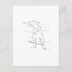 Amerikansk Staffordshire Terrier-illustration Vykort