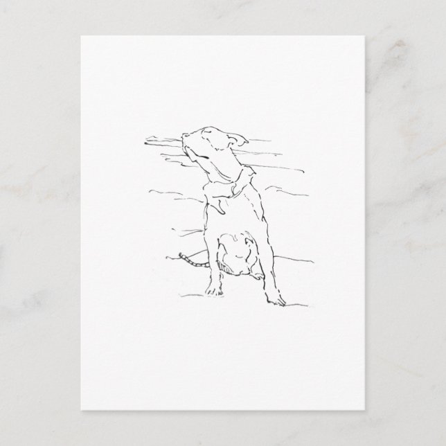 Amerikansk Staffordshire Terrier-illustration Vykort (Framsida)