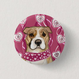 AMERIKANSK STAFFORDSHIRE TERRIER KNAPP