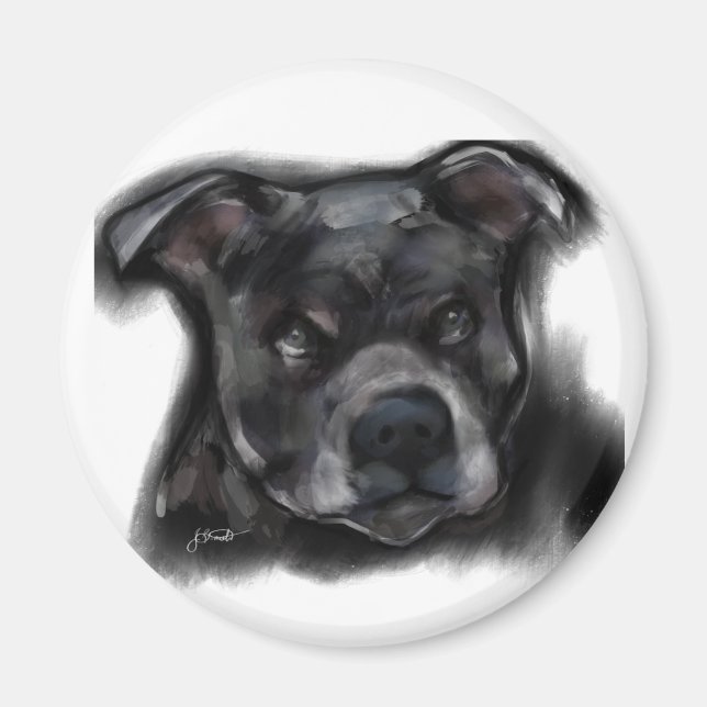 Amerikansk Staffordshire Terrier Magnet (Framsidan)