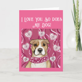 AMERIKANSK STAFFORDSHIRE TERRIER TACK KORT