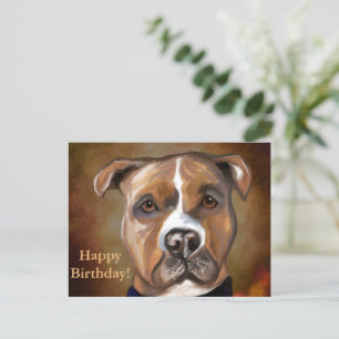 AMERIKANSK STAFFORDSHIRE TERRIER VYKORT