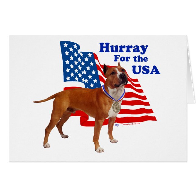 Amerikansk Staffordshireterrier USA Hälsningskort (Framsidan Horizontal)