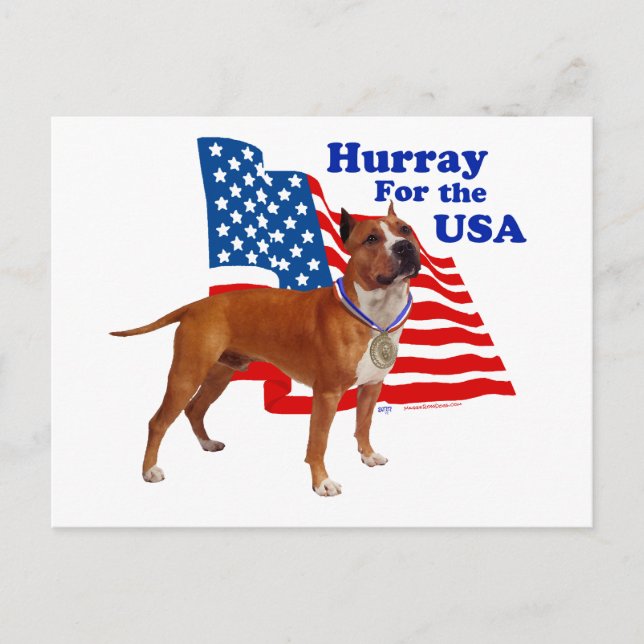 Amerikansk Staffordshireterrier USA Vykort (Framsida)