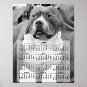 Amerikansk stelpepparkin poster