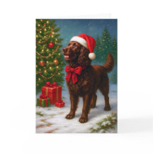 Amerikansk Vatten Spaniel Julkort