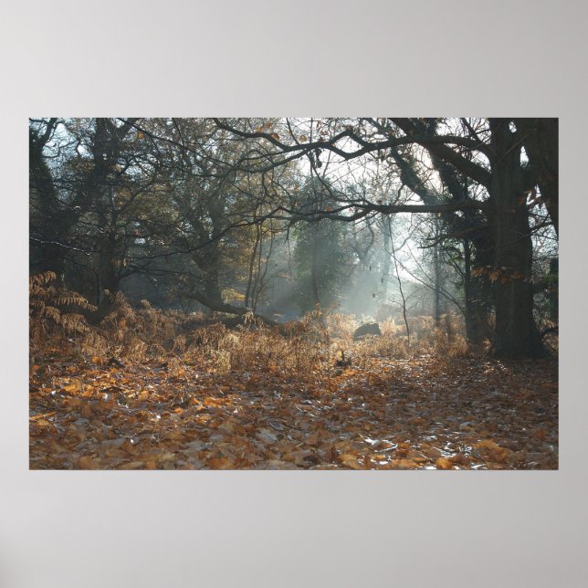 Amerikansk ved poster (Framsidan)